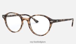 decaan optiek gepolijst bruin havana XX46DZ2277 Heren Ray-Ban bril